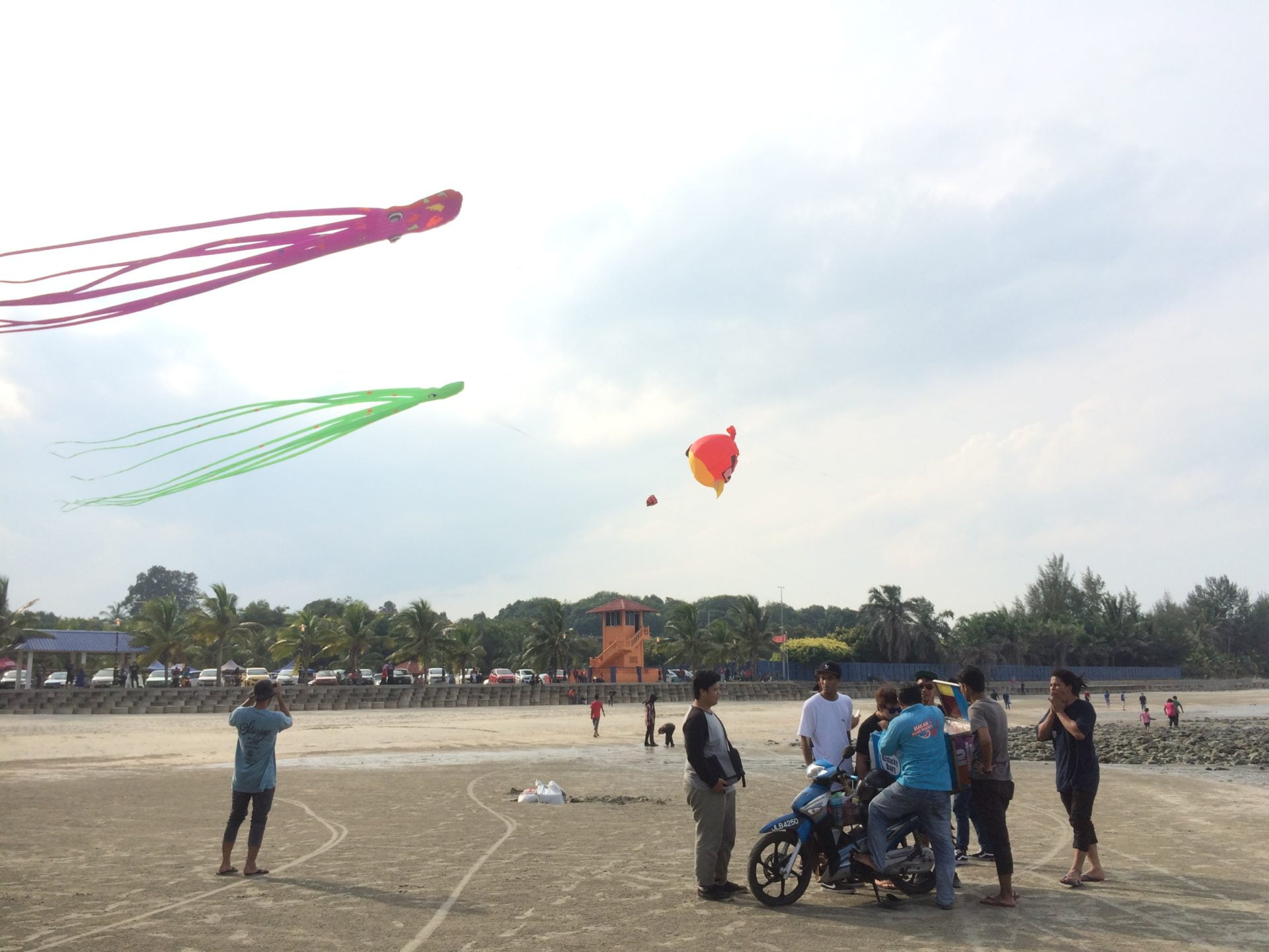 Photo 31-07-2016, 17 12 10