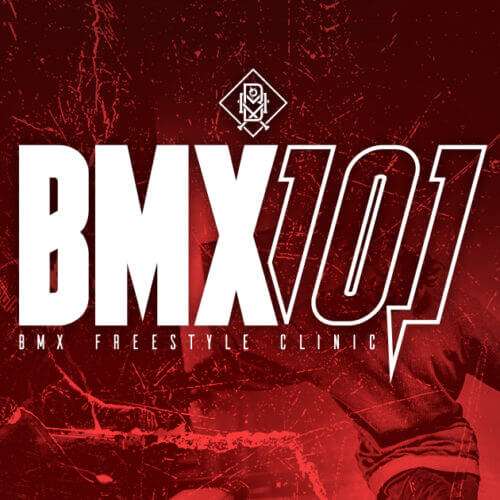 Read more about the article BMX101